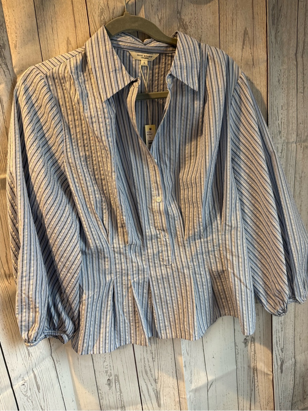 Blue White Button-up Blouse Max Studio Large NWT